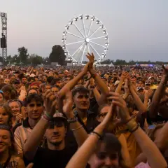 Menschen jubeln beim Highfield Festival Leipzig. Ein Riesenrad leuchtet im Hintergrund.