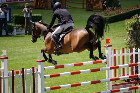 Ein Reiter mit schwarzer Kleidung und Helm springt mit seinem braunen Pferd über ein Hindernis. Ein spannender Moment beim Pferdefest 2024.