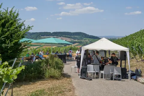 Live-Musik im Weinberg: Eine Band spielt unter einem Zelt, während Gäste im Schatten von Sonnenschirmen sitzen. Ein perfekter Tag für querfeldwein in Erlenbach.