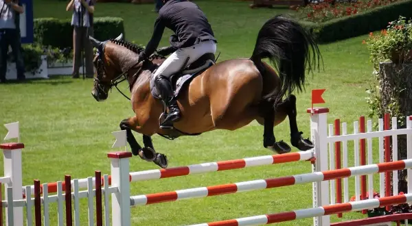 Ein Reiter mit schwarzer Kleidung und Helm springt mit seinem braunen Pferd über ein Hindernis. Ein spannender Moment beim Pferdefest 2024.