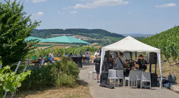 Live-Musik im Weinberg: Eine Band spielt unter einem Zelt, während Gäste im Schatten von Sonnenschirmen sitzen. Ein perfekter Tag für querfeldwein in Erlenbach.