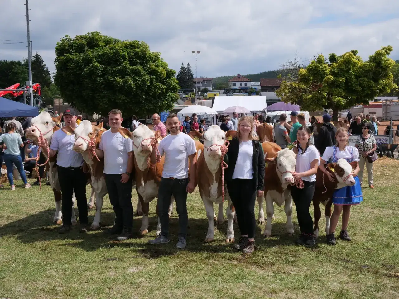 Beerfelder Pferdemarkt - Was den Markt im Odenwald besonders macht